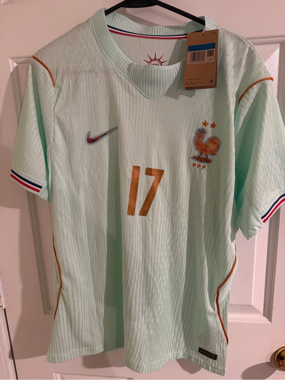 Nike Men's Mint Green France Football Jersey with Gold Accents